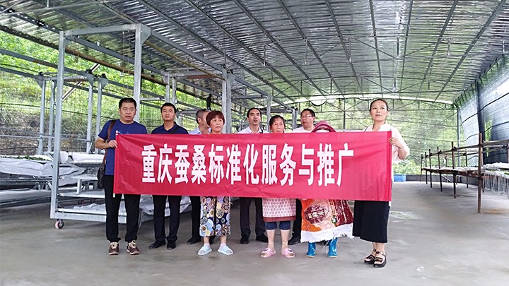 送技术上门到黔江 以蚕业发展促脱贫