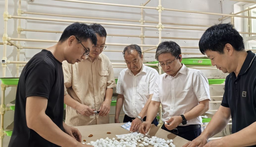 国家蚕桑体系首席科学家代方银莅临我院调研指导