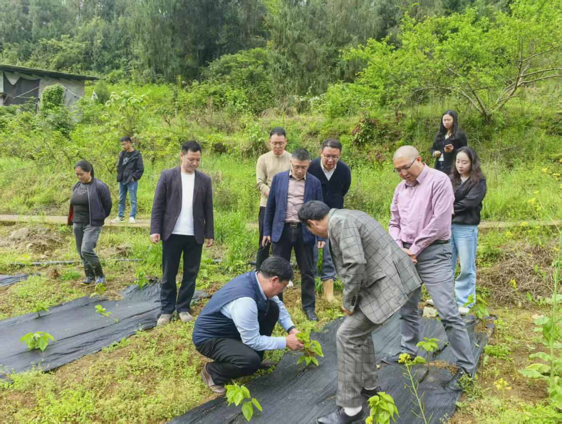 科技赋能助力乡村产业振兴  