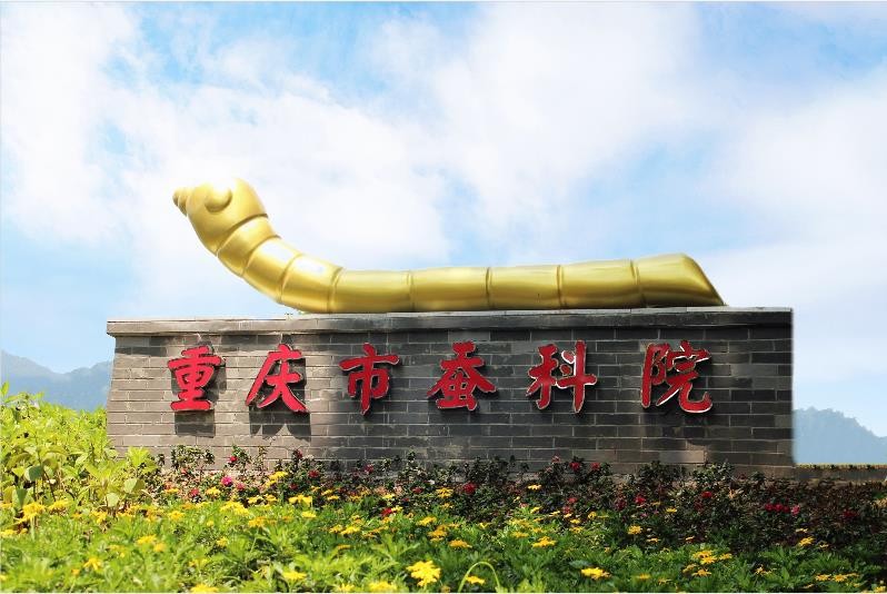 关于印发重庆市蚕桑丝绸产业发展“十四五”规划的通知