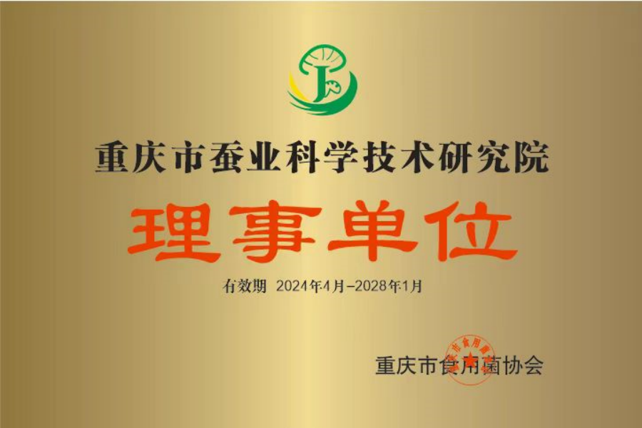 网站1.png
