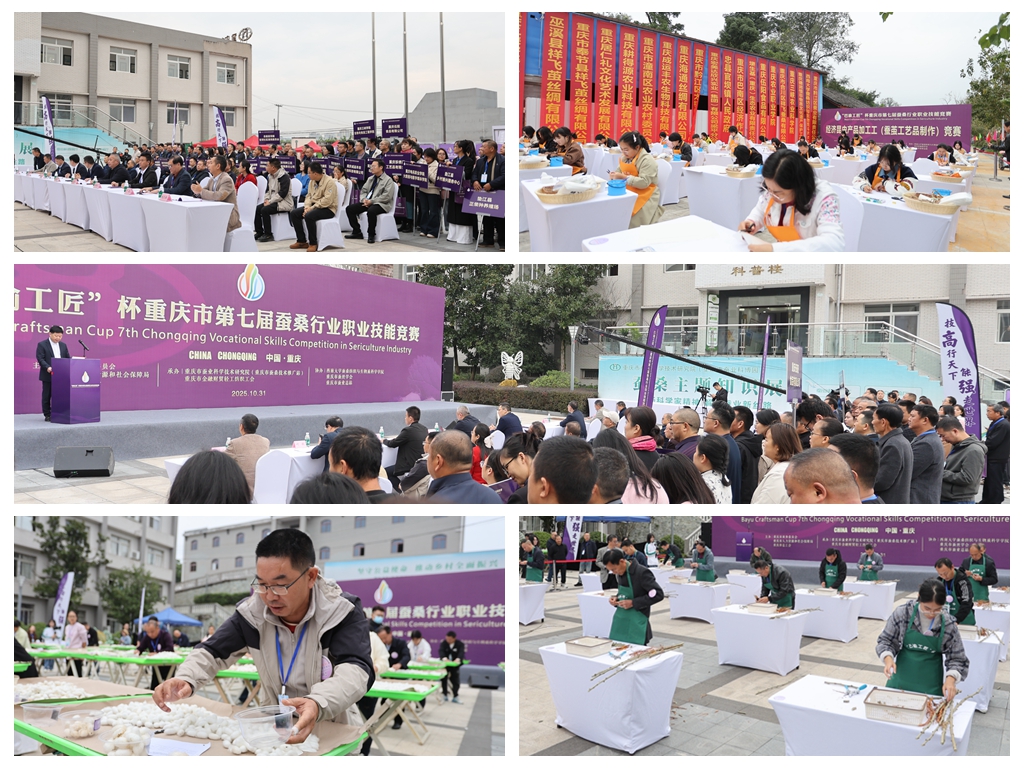 1762157447306526.jpg 全景.jpg