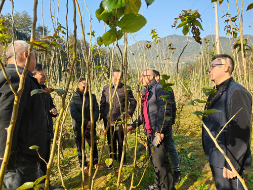 1765168575241573.jpg 21.jpg