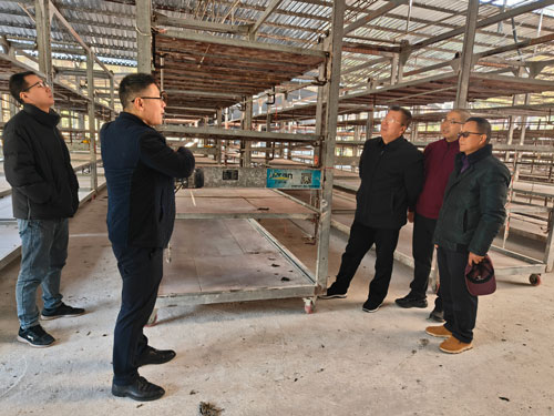 1765168581586445.jpg 31.jpg