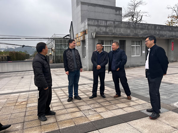 1765244837205023.jpg 11.jpg