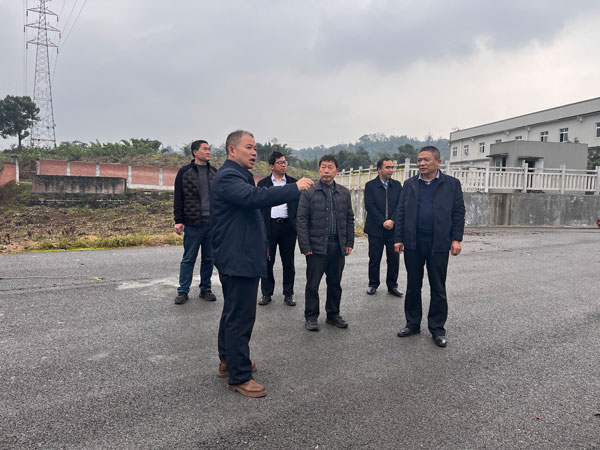 1765244863393739.jpg 33.jpg