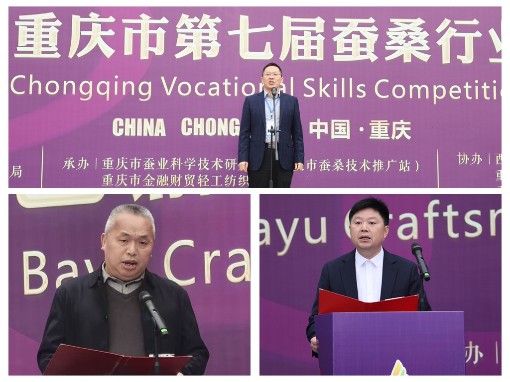 1765245205963011.jpg 1 (3).jpg