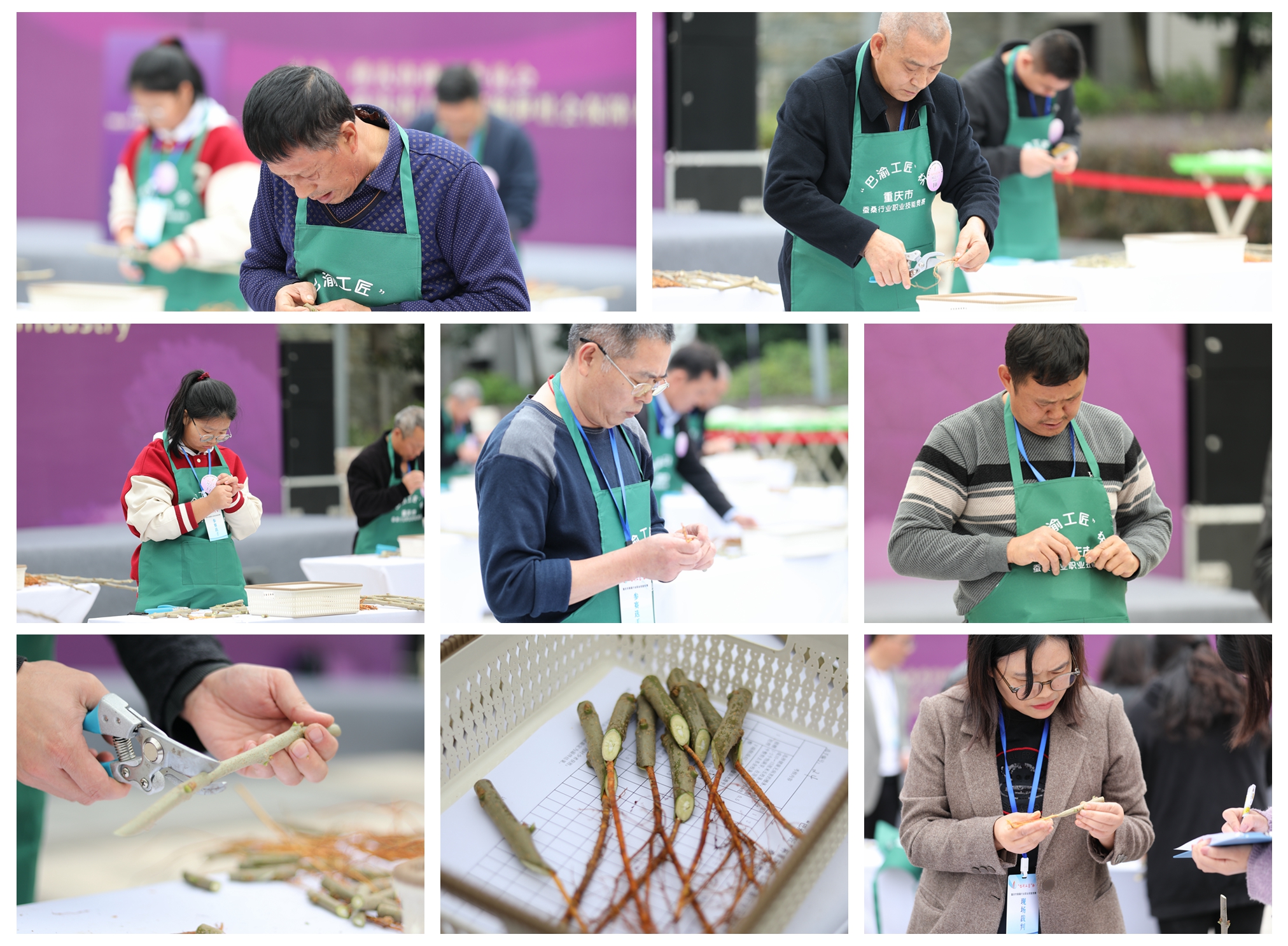 1765245217458559.jpg 1 (4).jpg