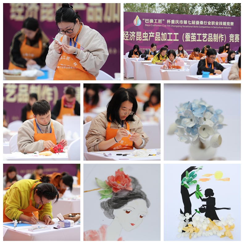 1765245297505139.jpg 1 (5).jpg