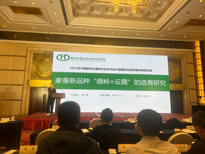 1765248105724016.jpg 11.jpg