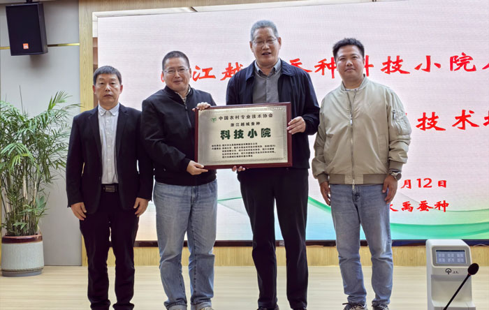 1765248197667451.jpg 31.jpg