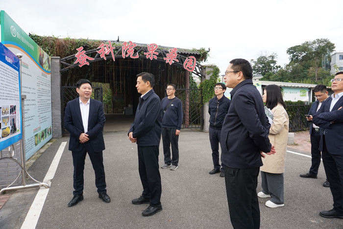 1765248465488122.jpg 21.jpg