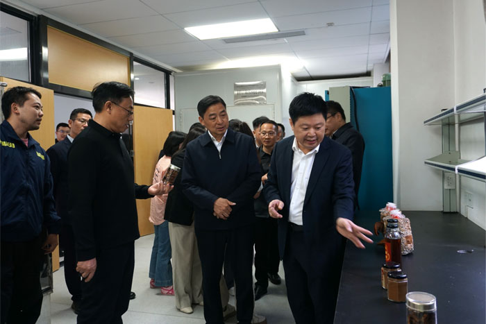 1765248475660133.jpg 31.jpg