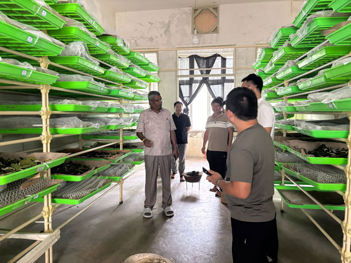 1765249167364459.jpg 蚕室1.jpg