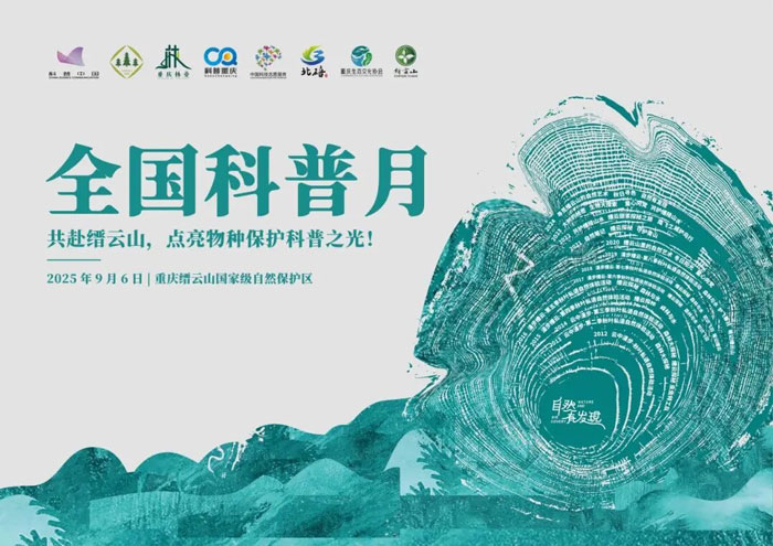 1765252026729304.jpg 13.jpg