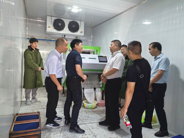 1765253016867828.jpg 21.jpg