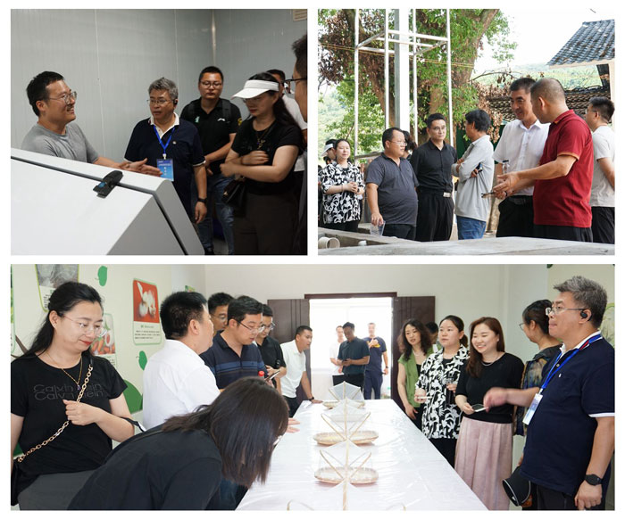 1765260896641813.jpg 12.jpg