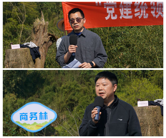 1765263485526035.jpg 13.jpg