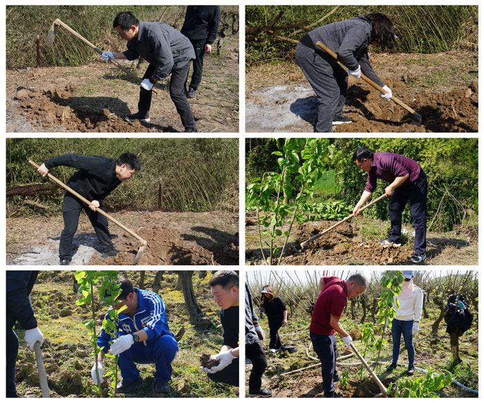 1765263496474626.jpg 12.jpg