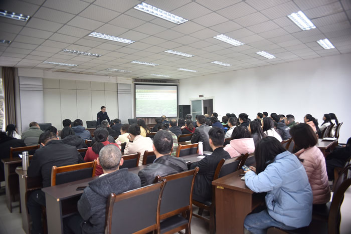 1765264032691427.jpg 11.jpg