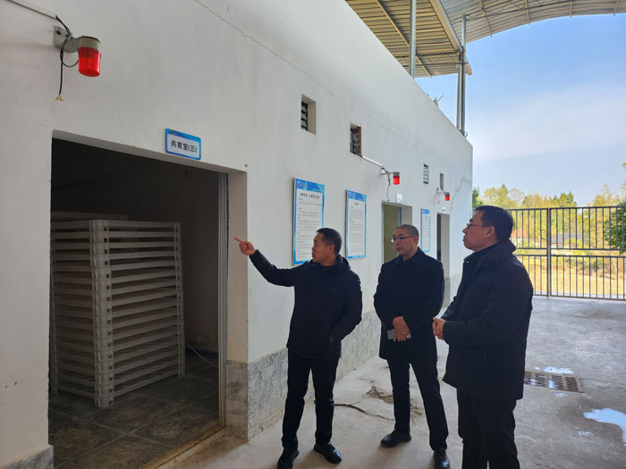 1765268863414936.jpg 1.jpg