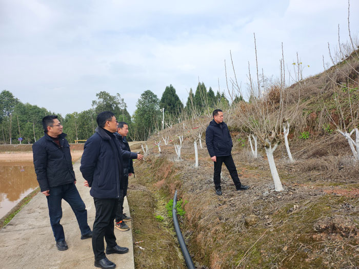 1765268874702698.jpg 3.jpg