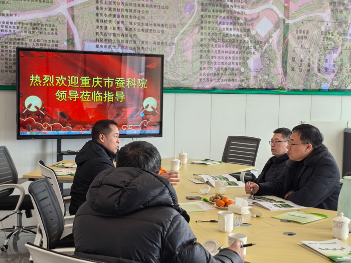 1765268913305218.jpg 4.jpg