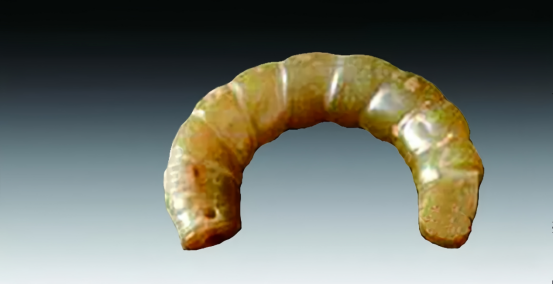 1765270692656358.png image.png