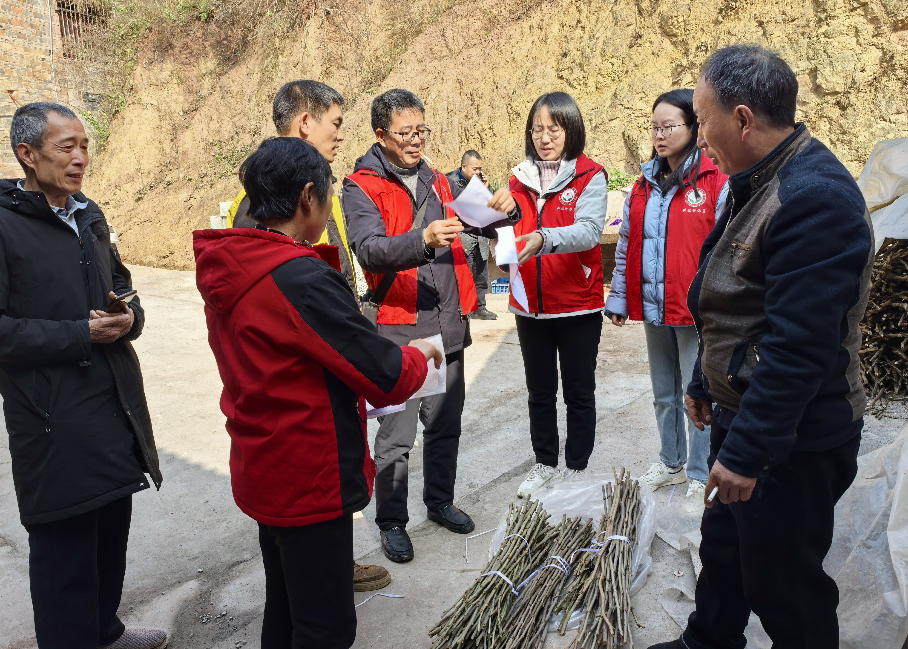 1769672012718201.png image.png