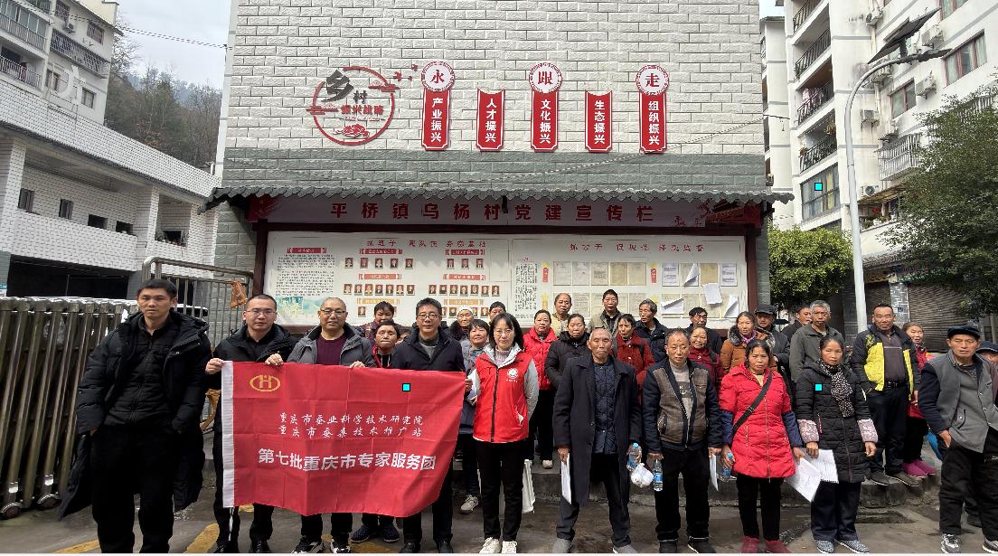 1769672459460960.jpg 0000.jpg