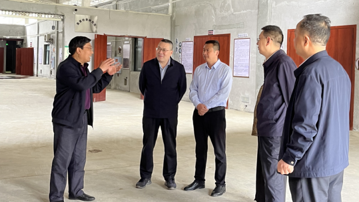 市科技局副局长田盈带队到黔江视察乡村振兴重点项目