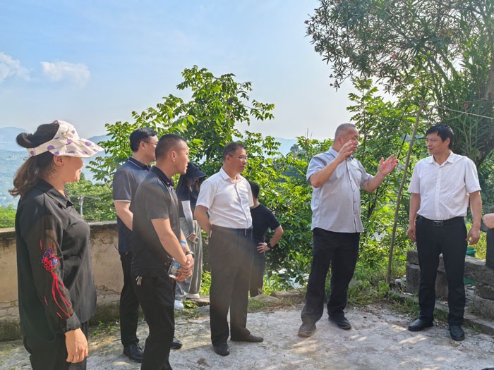 深入丰都开展产业调研 科技助力蚕业“涅槃”发展